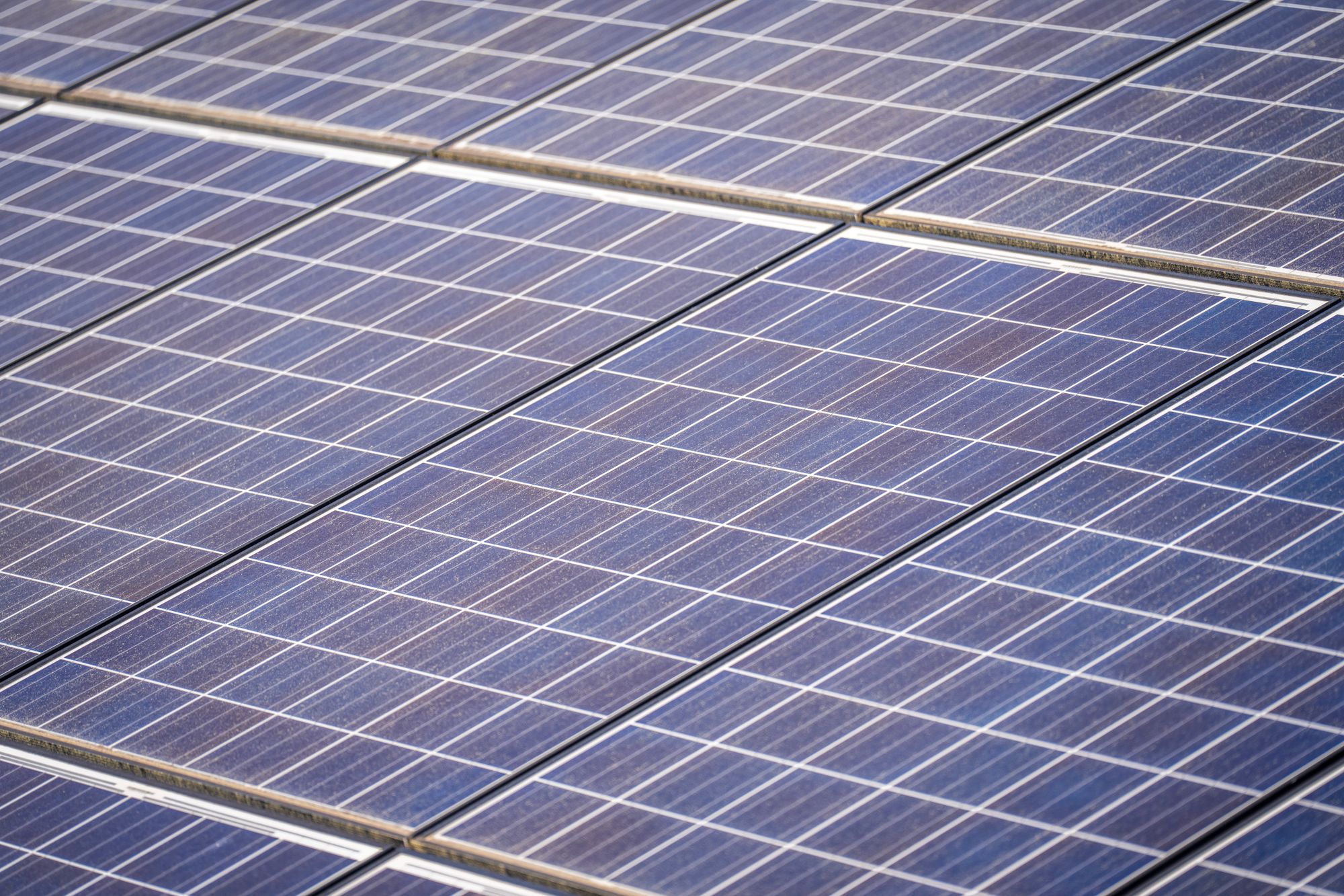 Close-up grid of photovoltaic panels used for solar power generation.